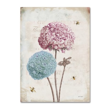 Katie Pertiet 'Geranium Study II Pink Flower' Canvas Art,18x24